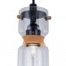 Подвесной светильник Citilux Эдисон CL450213 (Дания)