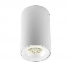 Потолочный светильник Donolux DL18612/01WW-R White