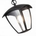 Уличный подвесной светильник ST Luce Sivino SL081.403.01 (ИТАЛИЯ)