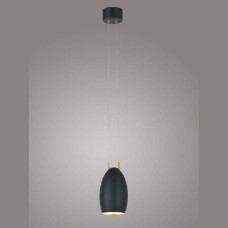 Подвесной светильник Donolux DL18691/WW-S Black/Gold