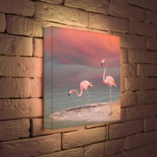 Лайтбокс Фламинго 35x35-022