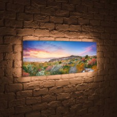 Лайтбокс панорамный Цветы на закате 35x105-p002