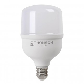 Лампа светодиодная Thomson E27 30W 6500K цилиндр матовая TH-B2364 (ФРАНЦИЯ)