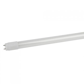Лампа светодиодная ЭРА G13 10W 6500K матовая LED T8-10W-865-G13-600mm (Россия)