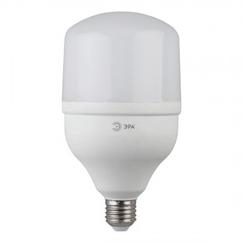 Лампа светодиодная ЭРА E27 30W 6500K матовая LED POWER T100-30W-6500-E27 Б0048504 (РОССИЯ)
